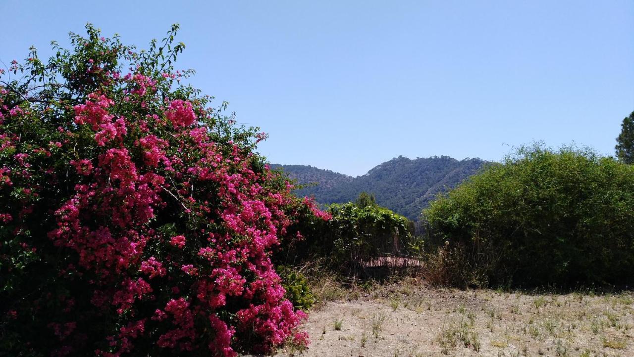 Chalet Montprats, Serra Dış mekan fotoğraf